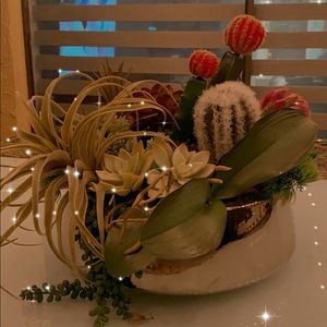 Artificial plants, succulents